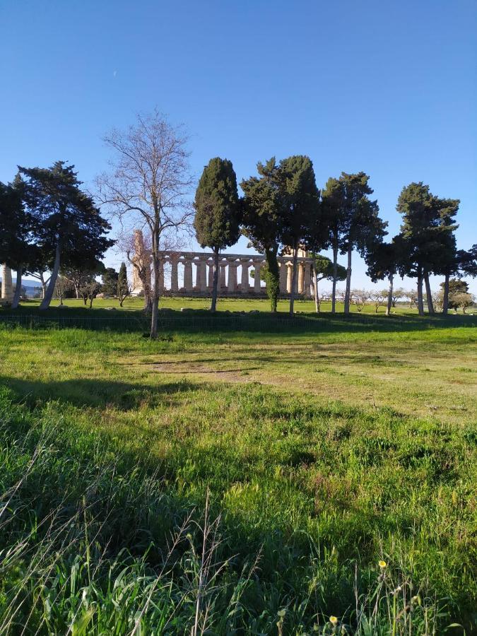 Goethe Paestum House Appartement Buitenkant foto